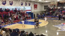 St. Francis de Sales basketball highlights Whitmer High School