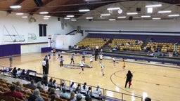 Tecumseh volleyball highlights Eisenhower High School