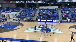 Bryant basketball highlights North Little Rock High School