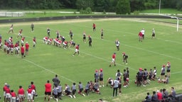 Highlight of Summer OTAs