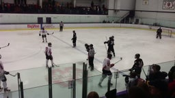 Mankato West (Mankato, MN) Ice Hockey highlights vs. New Prague High