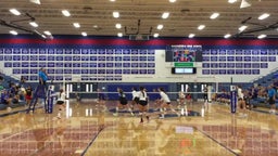 Springfield volleyball highlights Findlay High School