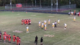 Nelson County football highlights Altavista Combined School High School