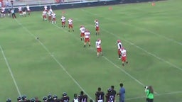 Parker football highlights vs. Baldwin High School