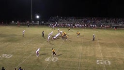 Robert Houston's highlights Horseshoe Bend High School