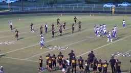 Cayuga football highlights Rice High School