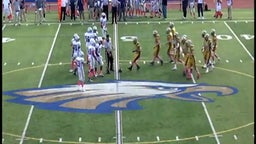 Hewlett football highlights vs. Bethpage