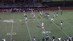 Madison-Ridgeland Academy football highlights Briarcrest Christian High School