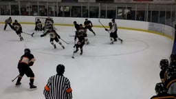 South (Sheboygan, WI) Ice Hockey highlights vs. Beaver Dam