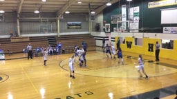 South Lafourche girls basketball highlights Albany High School