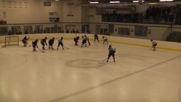 Sartell-St. Stephen girls ice hockey highlights vs. Moorhead High School
