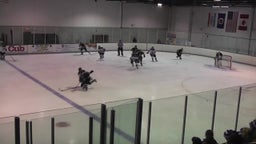 Sartell-St. Stephen girls ice hockey highlights vs. Buffalo High School