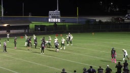 Aaron Jones's highlights Chamberlain High School