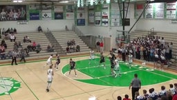 Provo basketball highlights Springville