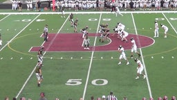 Michael Reese's highlights Danville