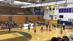 New Lexington volleyball highlights Philo High School