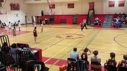 Sheehan girls basketball highlights Wilbur Cross High School