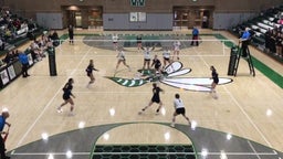Haslett volleyball highlights Williamston