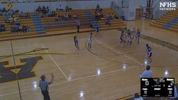 Adams girls basketball highlights Rochester High School