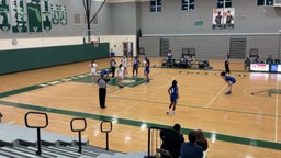 DeSoto County girls basketball highlights Venice High School