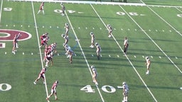 Nimitz football highlights Princeton High