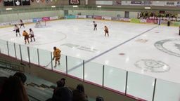 Maple Grove girls ice hockey highlights Northfield High School
