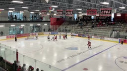 Maple Grove girls ice hockey highlights Elk River High School