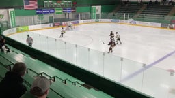 Maple Grove girls ice hockey highlights Andover High School