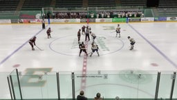 Maple Grove girls ice hockey highlights Wayzata High School
