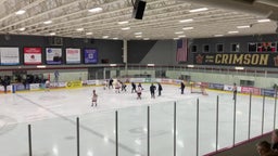 Maple Grove girls ice hockey highlights Minnetonka High School