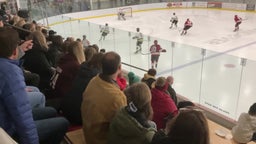Maple Grove girls ice hockey highlights Andover High School