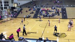 Shelbyville girls basketball highlights Franklin County