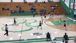 Shelbyville girls basketball highlights Yorktown