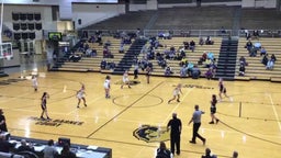 Shelbyville girls basketball highlights Hauser