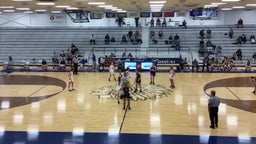 Shelbyville girls basketball highlights Whiteland
