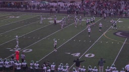 Elyria Catholic football highlights Westlake High School