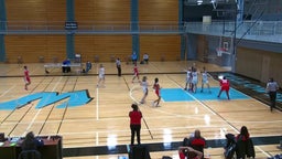 Willowbrook girls basketball highlights Proviso West High School