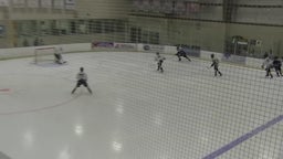 Freehold Township ice hockey highlights Lacey Township High School