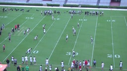 Cam Mills's highlights UofSC 7on7