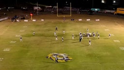Pell City football highlights Springville High School