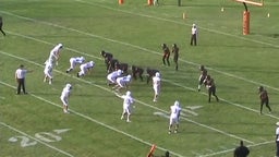 Gull Lake football highlights vs. Benton Harbor