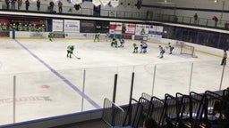 Minnetonka girls ice hockey highlights Edina High School