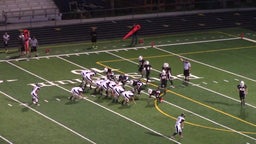 Cuyahoga Falls football highlights vs. Normandy