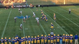 Wadena-Deer Creek football highlights Pelican Rapids High School
