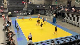 Northridge volleyball highlights Brighton High School
