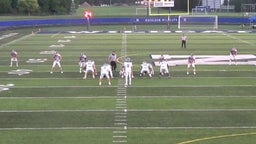 Napoleon football highlights Anthony Wayne High School