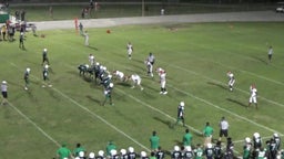 Greg Marion's highlights Haines City High School