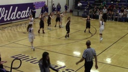 Hartington-Newcastle girls basketball highlights Winside