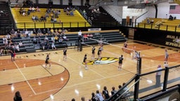 Sullivan volleyball highlights Rockwood Summit High School