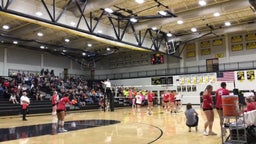 Allendale volleyball highlights Hamilton High School